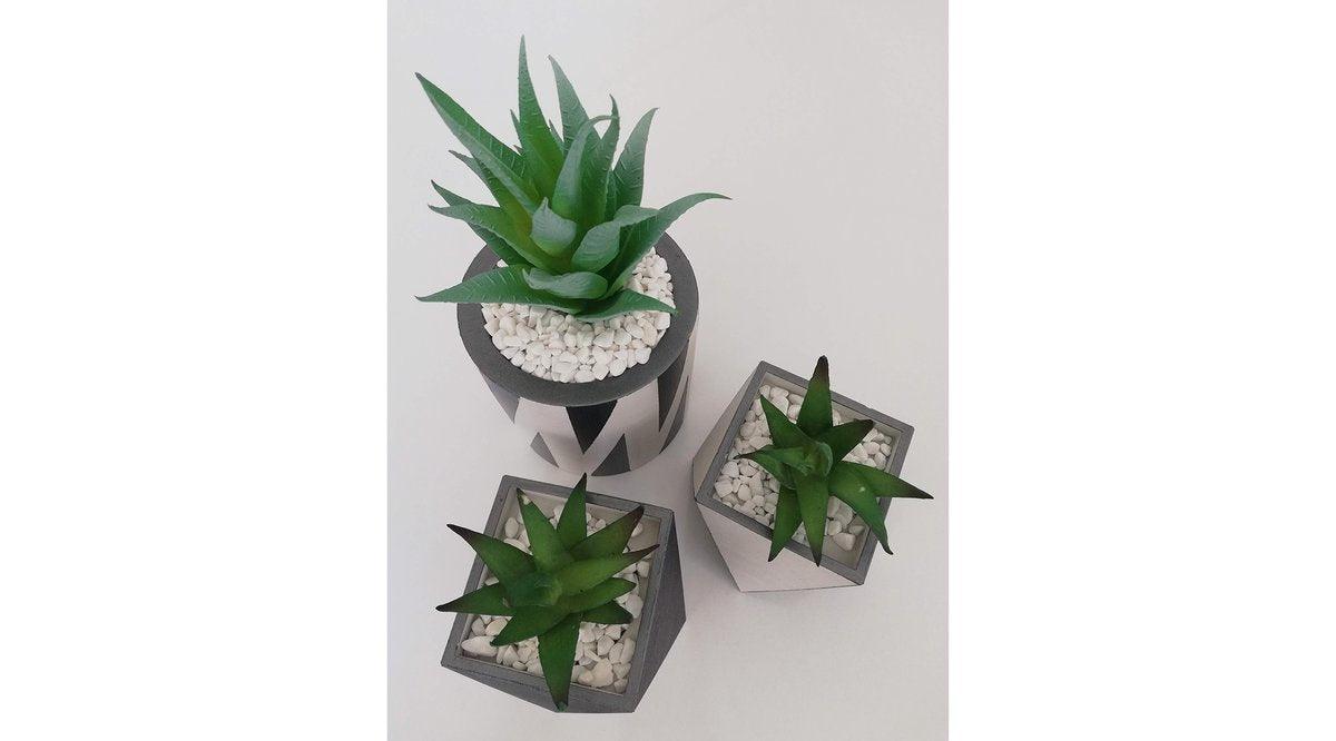 Section Üçlü Çiçekli Beton Saksı Seti