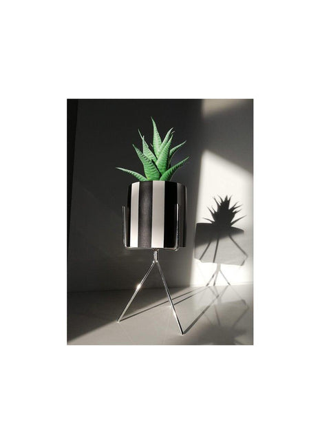 Liv Stil - Stripe Metal Ayaklı Çiçekli Dekoratif Beton Saksı - Saksı