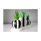 Liv Stil - Stripe Üçlü Çiçekli Dekoratif Beton Saksı Seti - Saksı