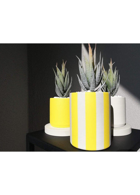 Liv Stil - Stripe Üçlü Çiçekli Dekoratif Beton Saksı Seti Sarı - Saksı