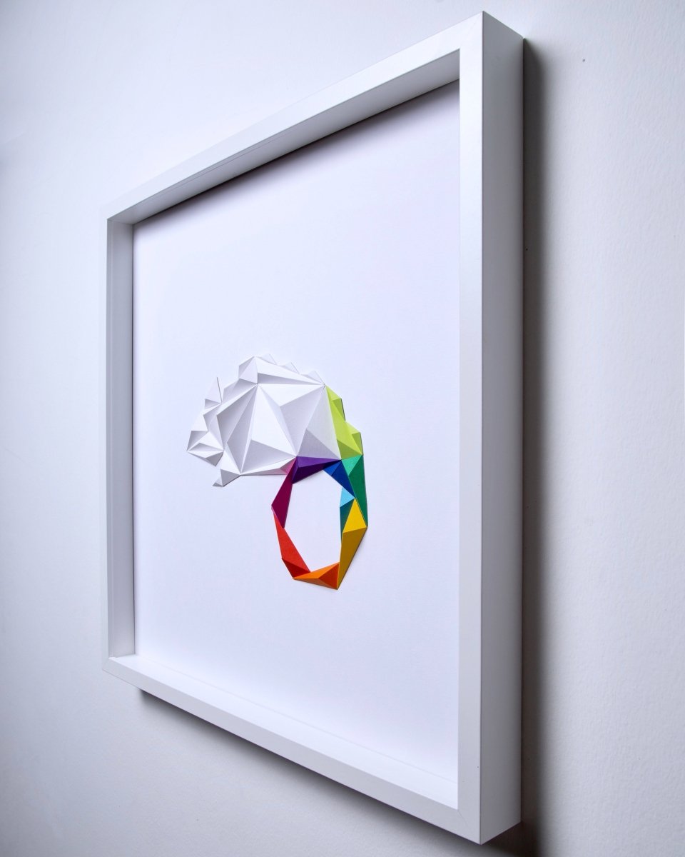 Chamelon - White / Multicolor Tablo