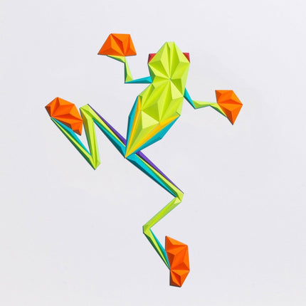 paperpan - Frog Frıend-Whıte Tablo - Tablo
