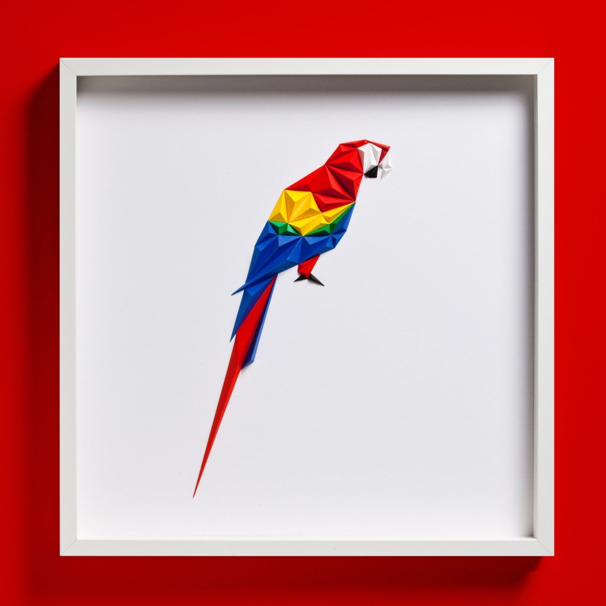 Scarlet Macaw Tablo