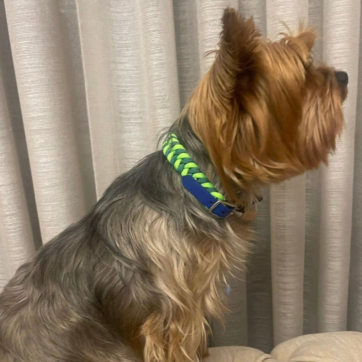 Herkül Paracord Köpek Boyun Tasması