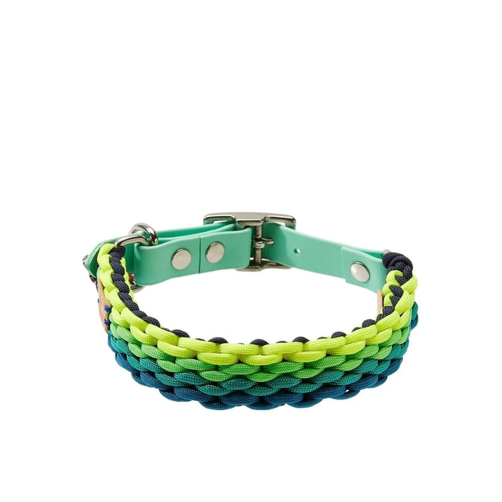 Karayip Paracord Boyun Tasması
