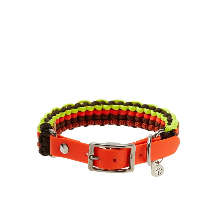 Neon Fire Paracord Köpek Boyun Tasması