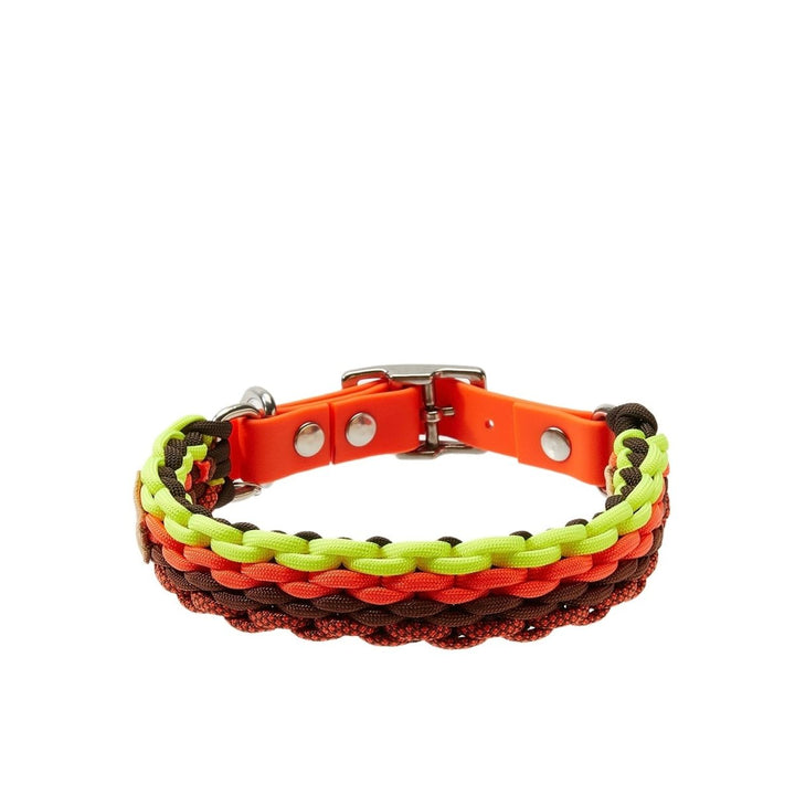 Neon Fire Paracord Köpek Boyun Tasması