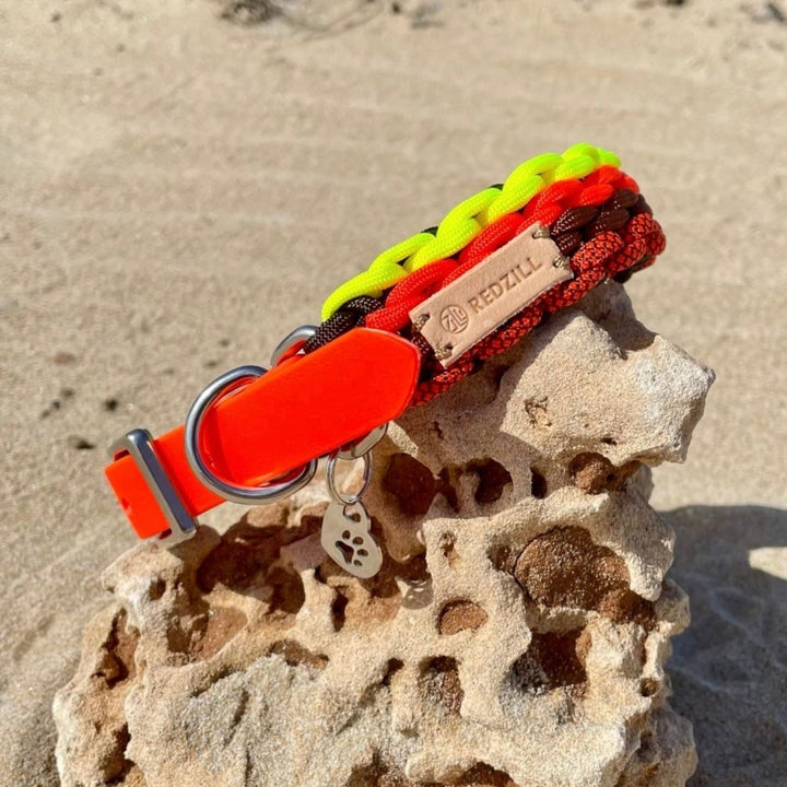 Neon Fire Paracord Köpek Boyun Tasması