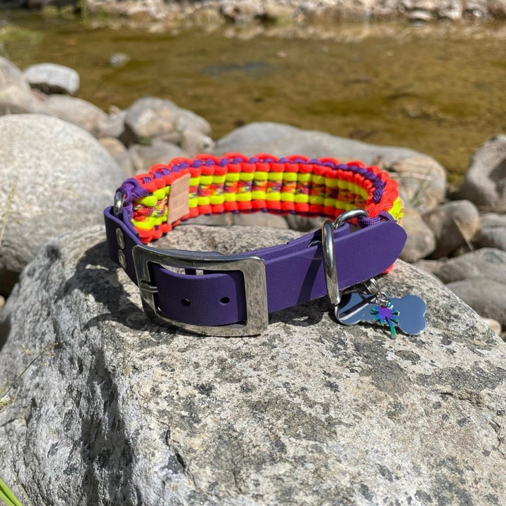 Phoenix Paracord Köpek Boyun Tasması