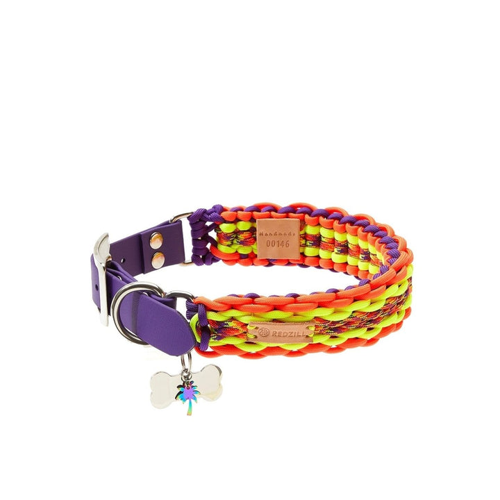 Phoenix Paracord Köpek Boyun Tasması