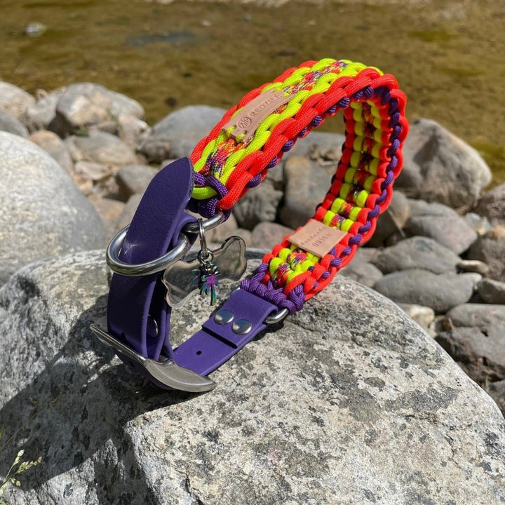 Phoenix Paracord Köpek Boyun Tasması