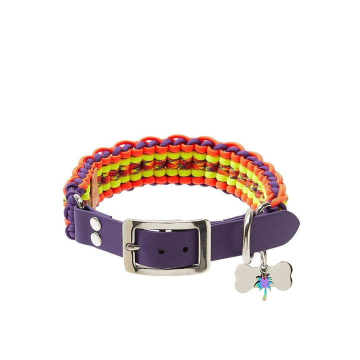 Phoenix Paracord Köpek Boyun Tasması