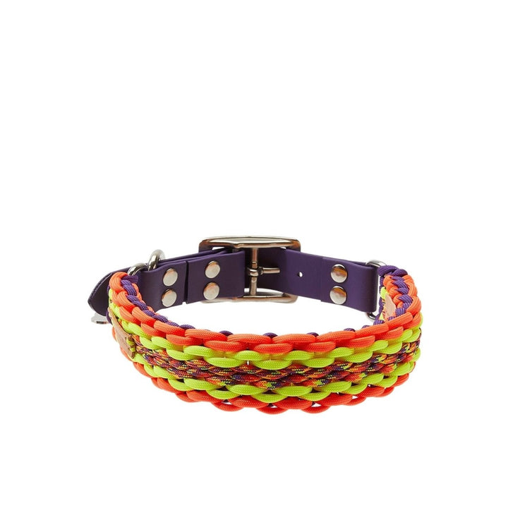 Phoenix Paracord Köpek Boyun Tasması