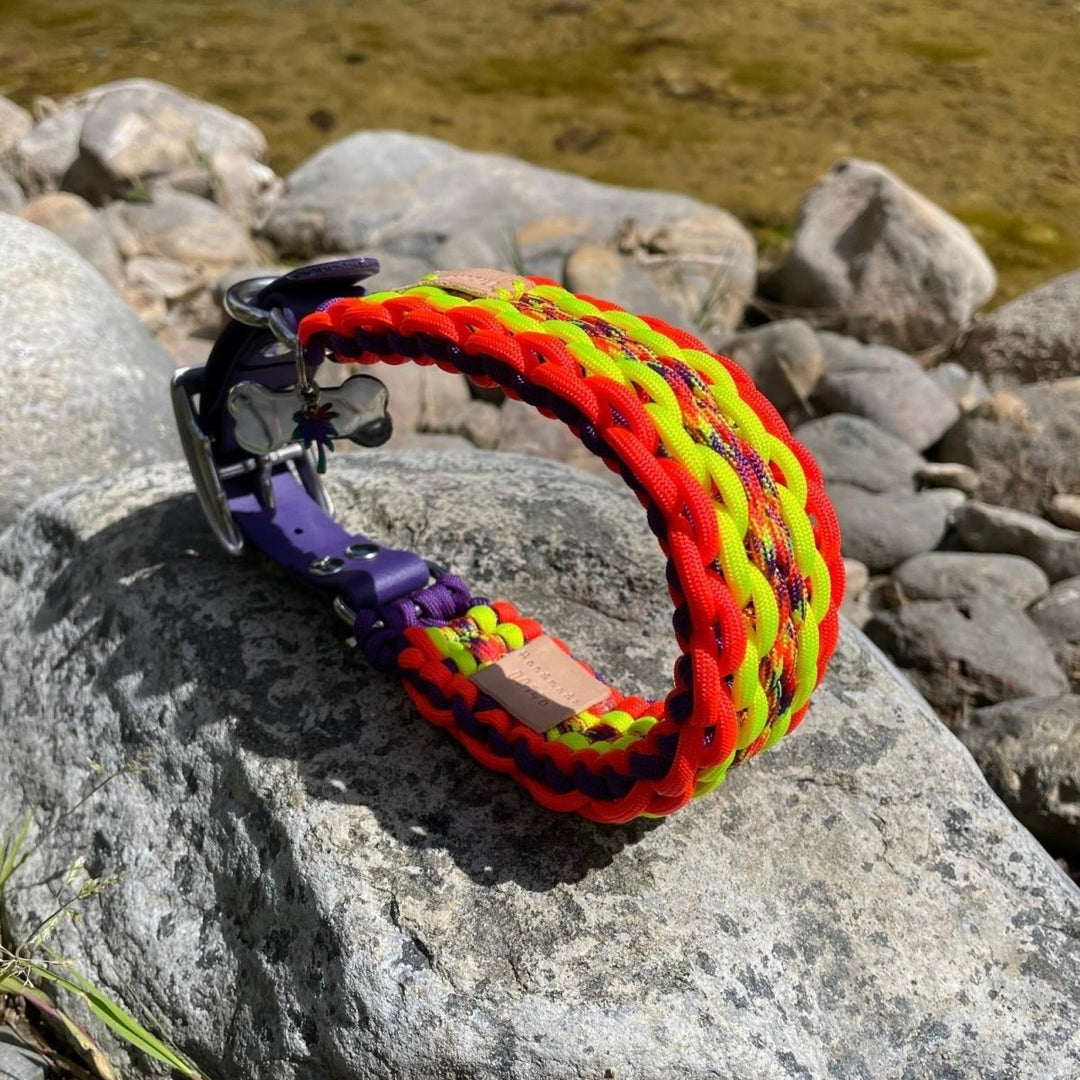 Phoenix Paracord Köpek Boyun Tasması