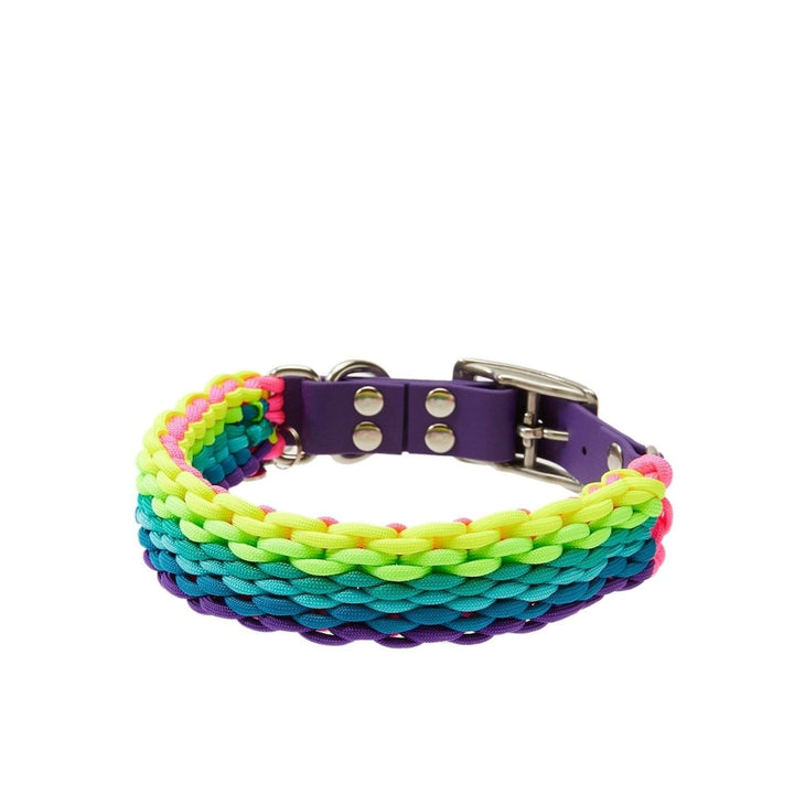 Rainbow Paracord Köpek Boyun Tasması