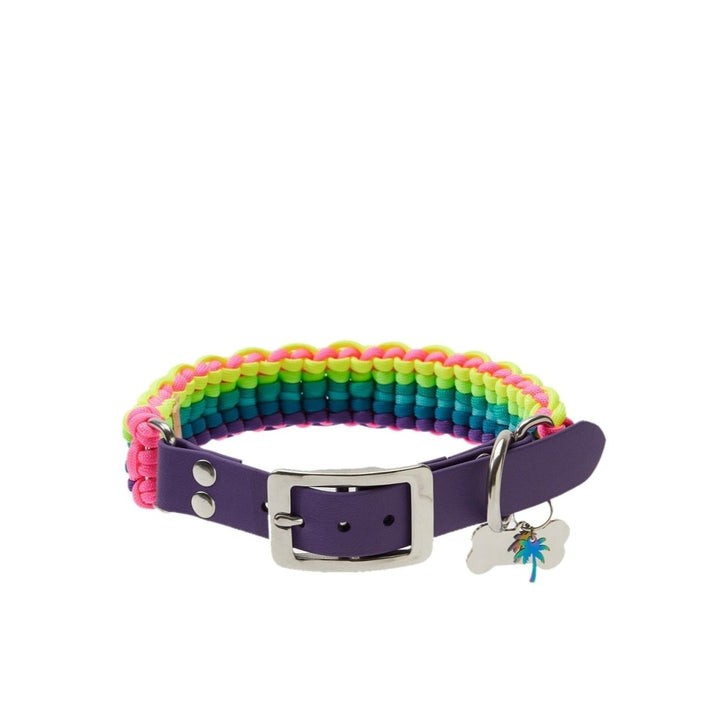 Rainbow Paracord Köpek Boyun Tasması