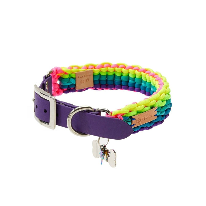 Rainbow Paracord Köpek Boyun Tasması