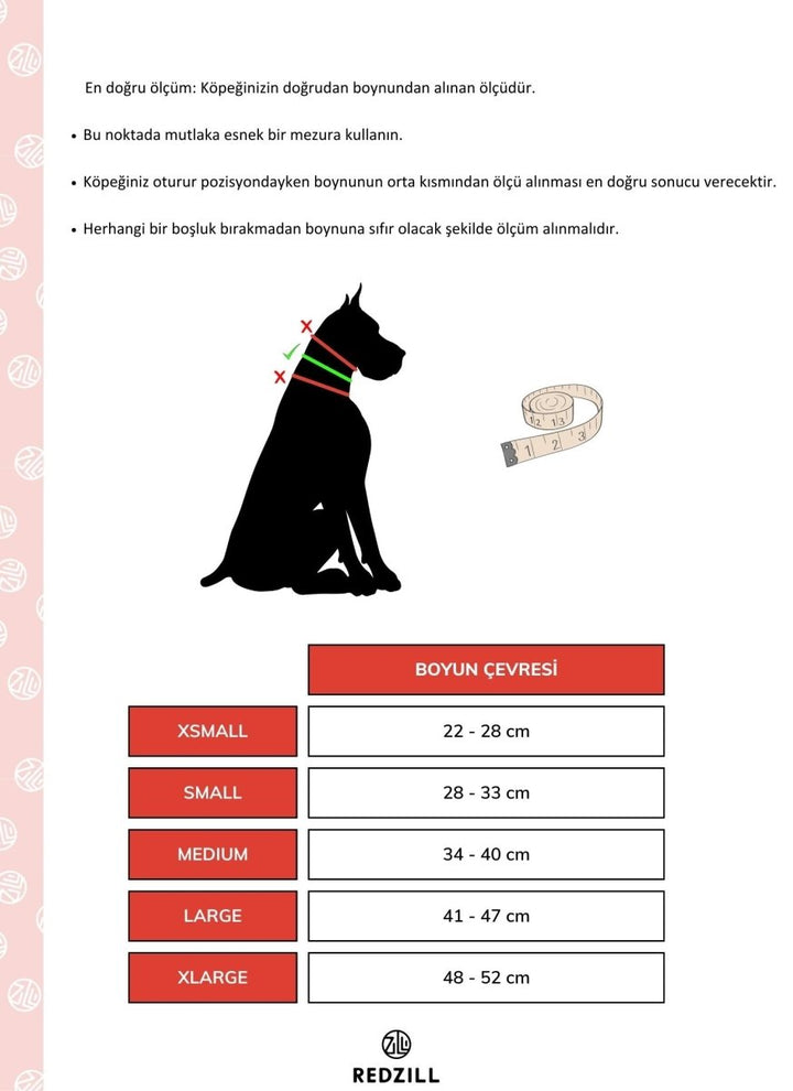 Rainbow Paracord Köpek Boyun Tasması