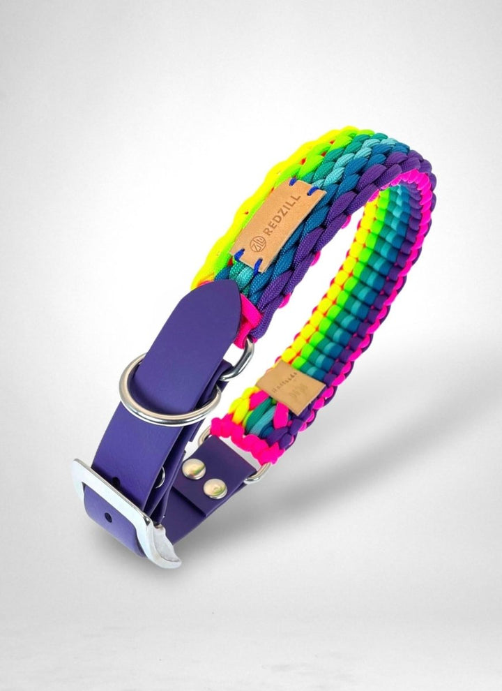 Rainbow Paracord Köpek Boyun Tasması