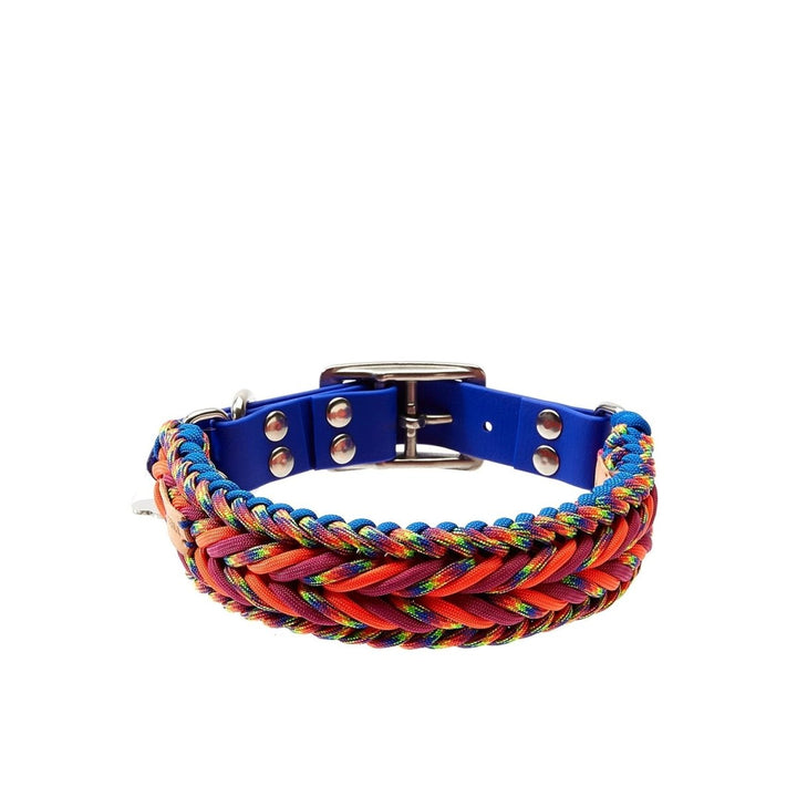 Rockstar Paracord Köpek Boyun Tasması