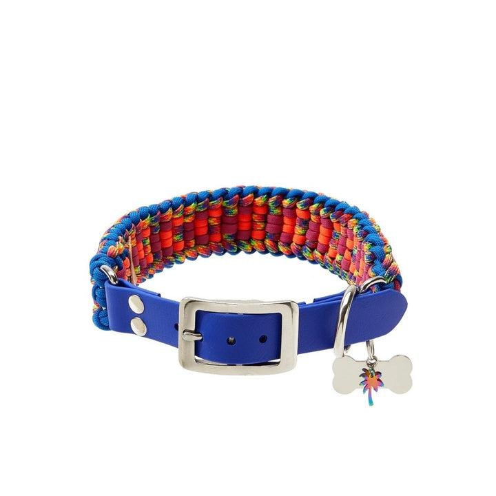 Rockstar Paracord Köpek Boyun Tasması