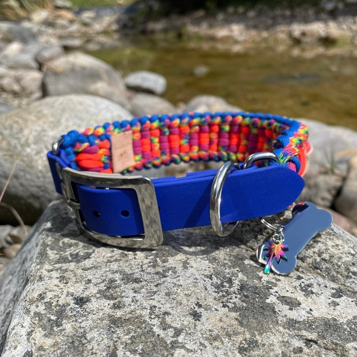 Rockstar Paracord Köpek Boyun Tasması