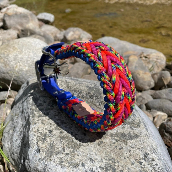 Rockstar Paracord Köpek Boyun Tasması