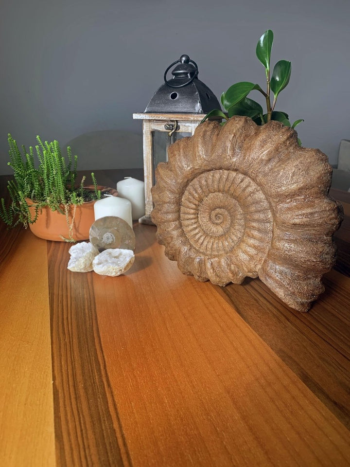 The Fossil Art - Ammonite Fosil Heykeli - Heykel