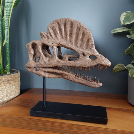 The Fossil Art - Dilophosaurus Fosil Heykeli - Heykel