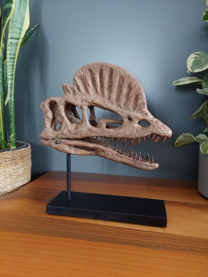 The Fossil Art - Dilophosaurus Fosil Heykeli - Heykel