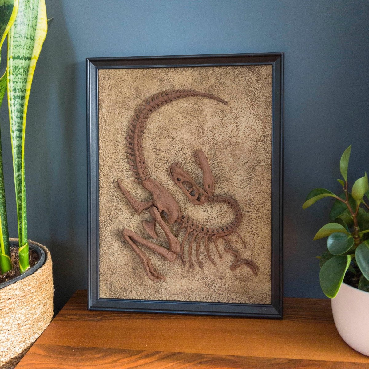 Fosil İskelet Heykeli