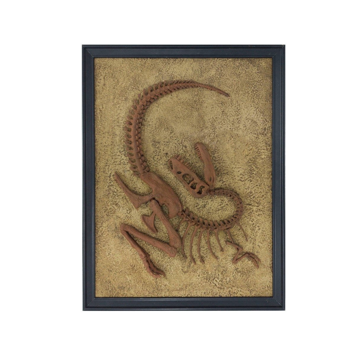 Fosil İskelet Heykeli