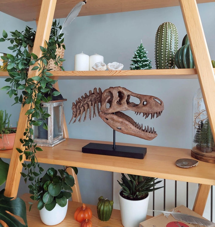 The Fossil Art - T-Rex Fosil Heykeli - Heykel