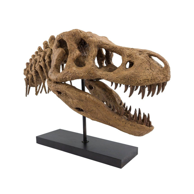 The Fossil Art - T-Rex Fosil Heykeli - Heykel