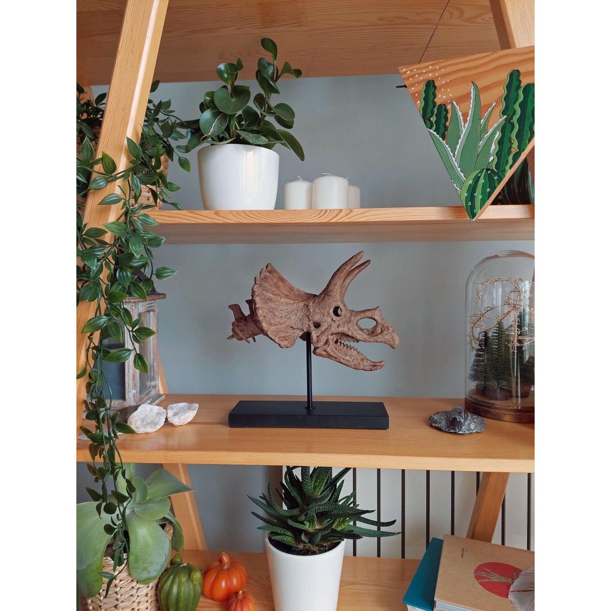 Triceratops Fosil Heykeli (Omurgalı)