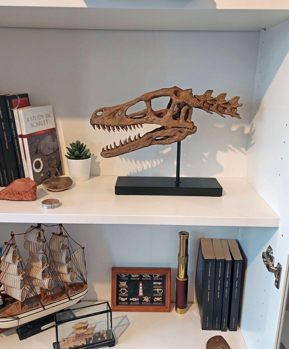 Velociraptor Fosil Heykeli (Omurgalı)